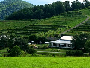 DelFosse Vineyard, Virginia