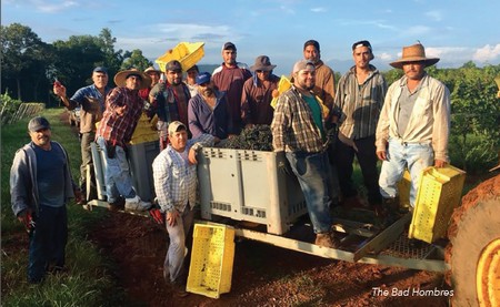 Vineyard Team, Barboursville Vineyards