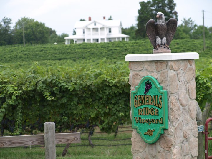 General's Ridge Vineyard